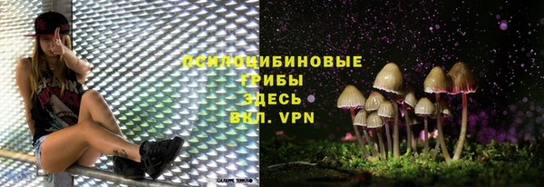 первитин Лагань
