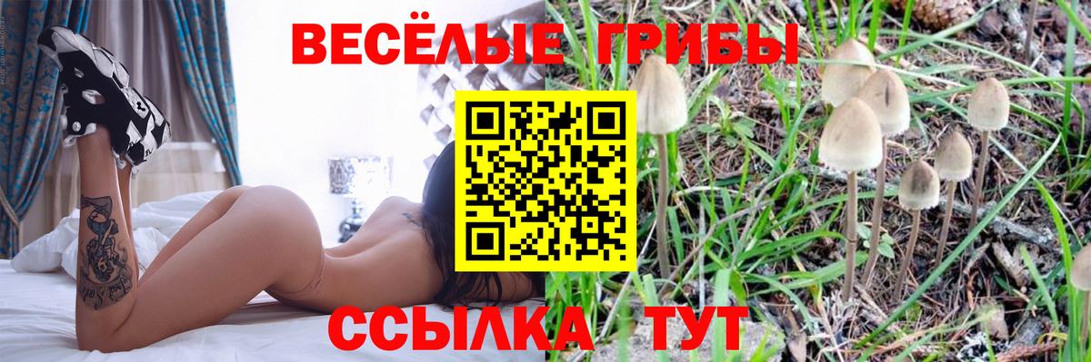 Южно-Сахалинск  Псилоцибиновые грибы Magic Shrooms  Вход с VPN 